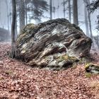 Herbst am Berg-Hang (...in der Eifel...)