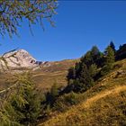 Herbst am Berg im Pfitschertal