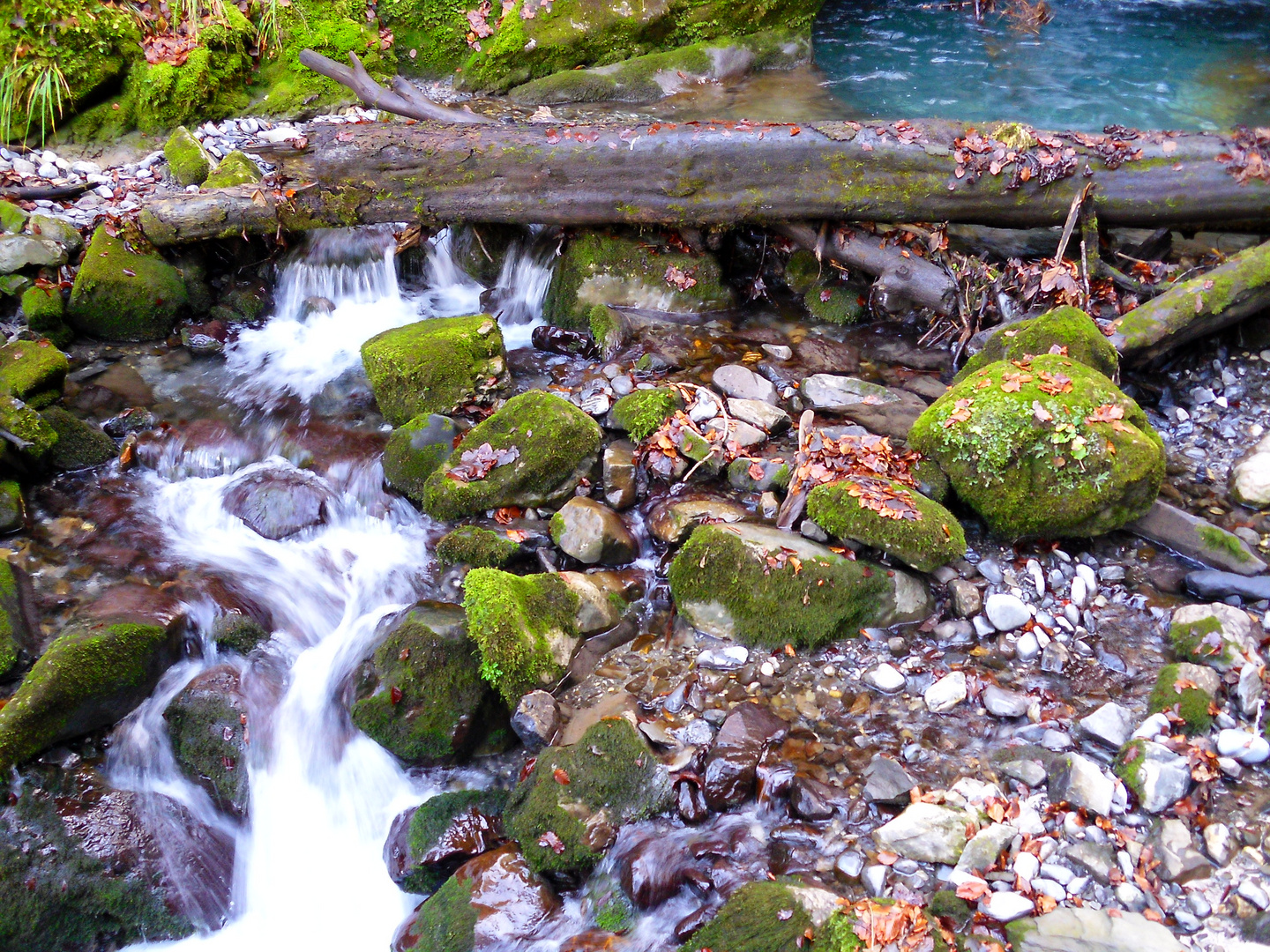 Herbst am Bergbach