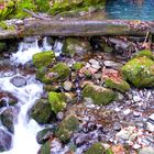 Herbst am Bergbach