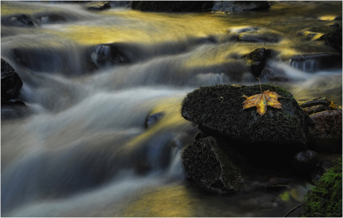 Herbst am Bergbach 5