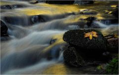 Herbst am Bergbach 5