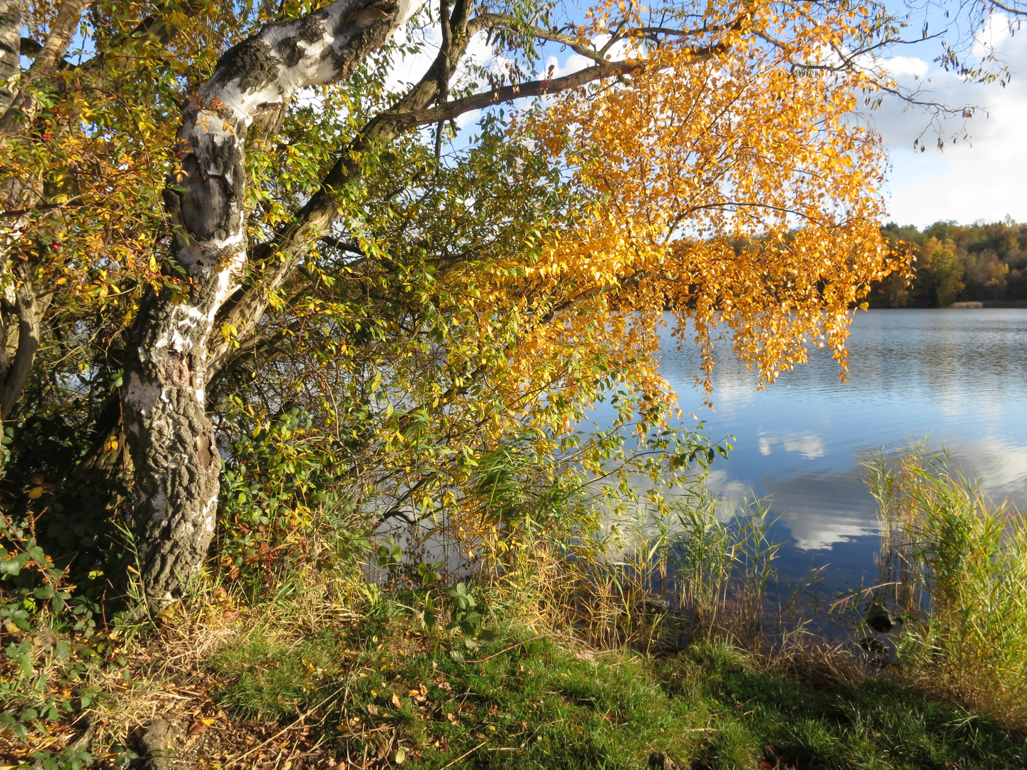 Herbst am Berggeistsee