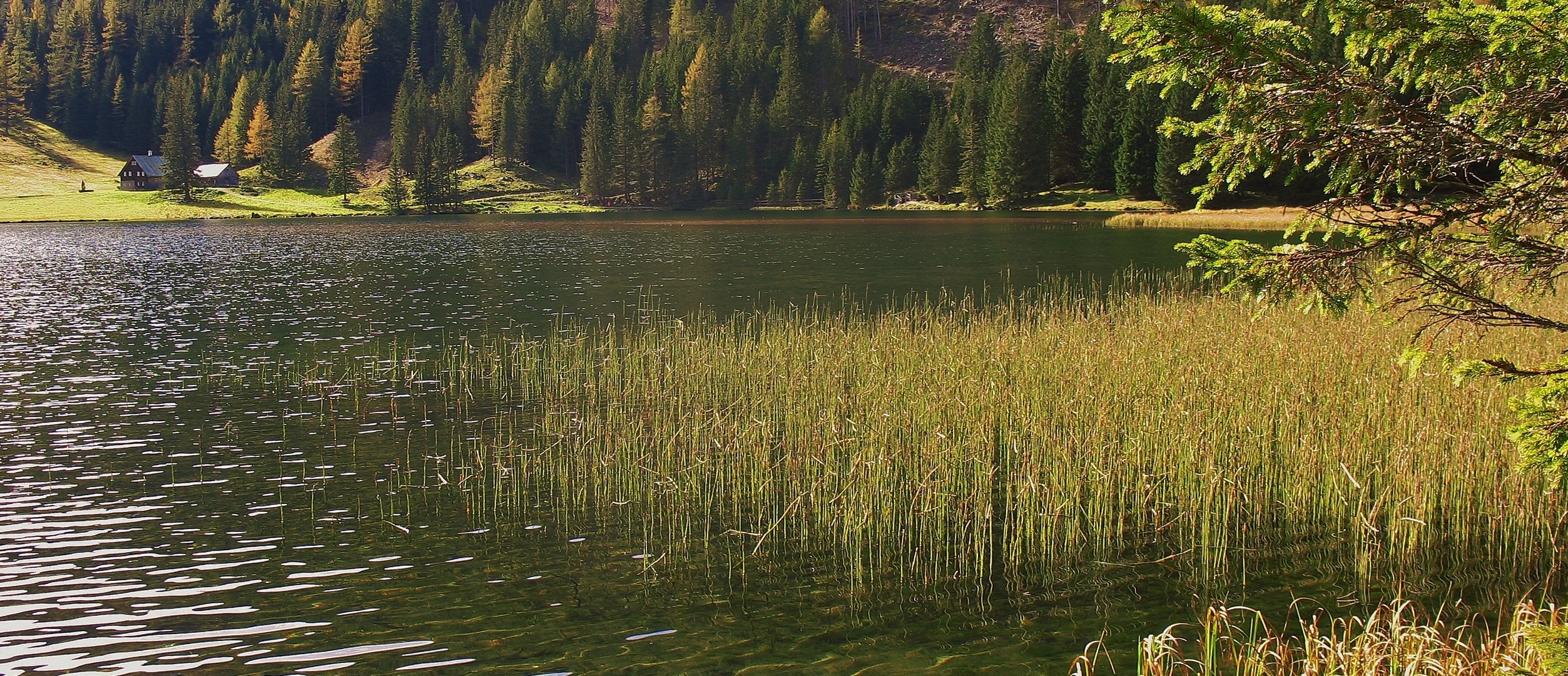 Herbst am Bergsee