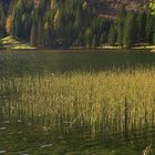 Herbst am Bergsee