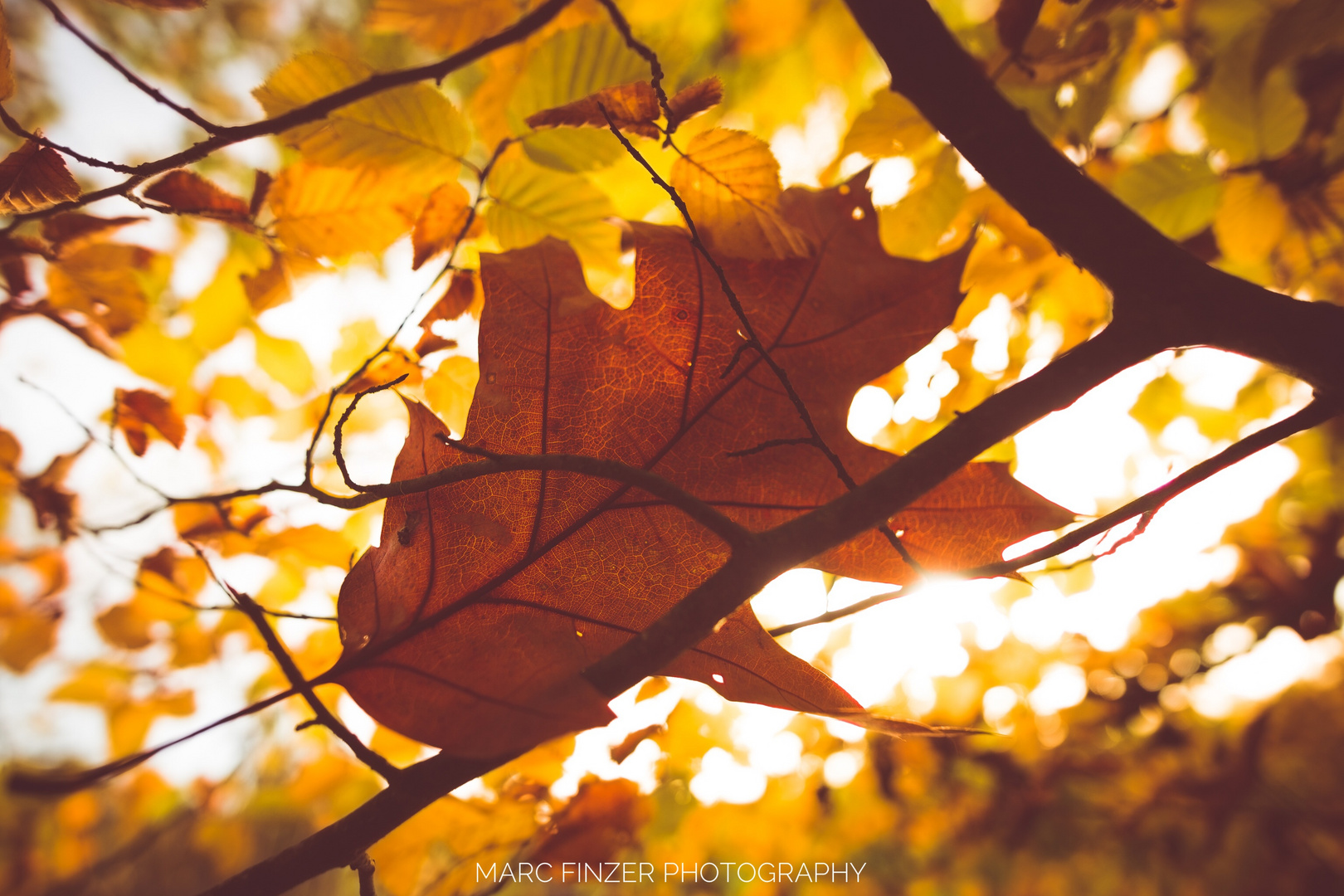 Herbst am Bergsee 