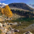 Herbst am Bergsee