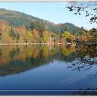 Herbst am Bergsee