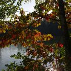 Herbst am Bergsee Bad Säckingen