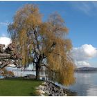 Herbst am Bielersee