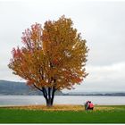 Herbst am Bielersee