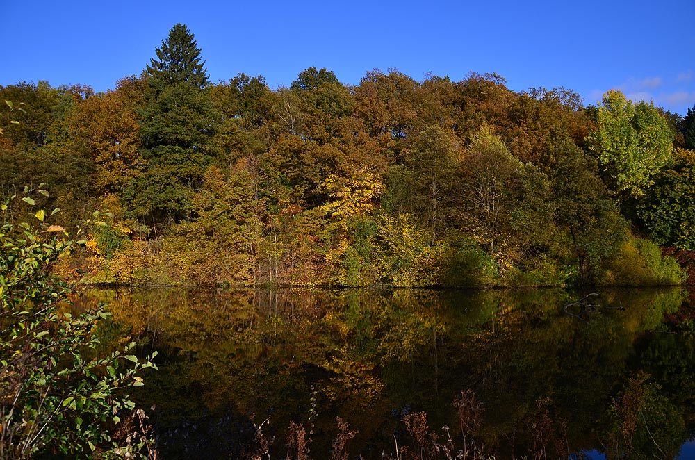 Herbst am Biggesee 1