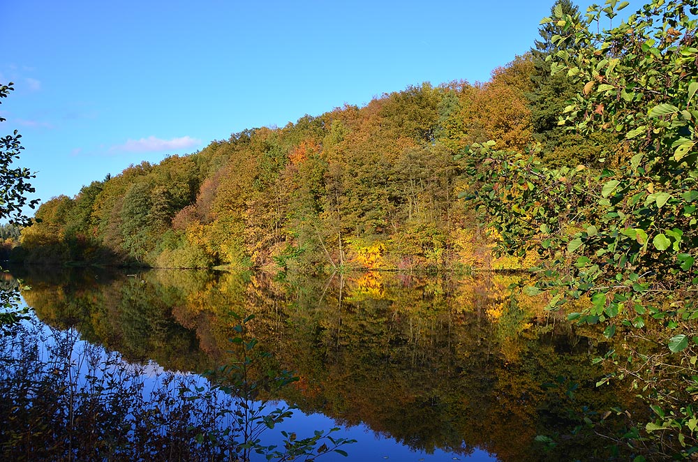 Herbst am Biggesee 2