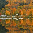 Herbst am Biggesee.