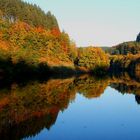 Herbst am Biggesee