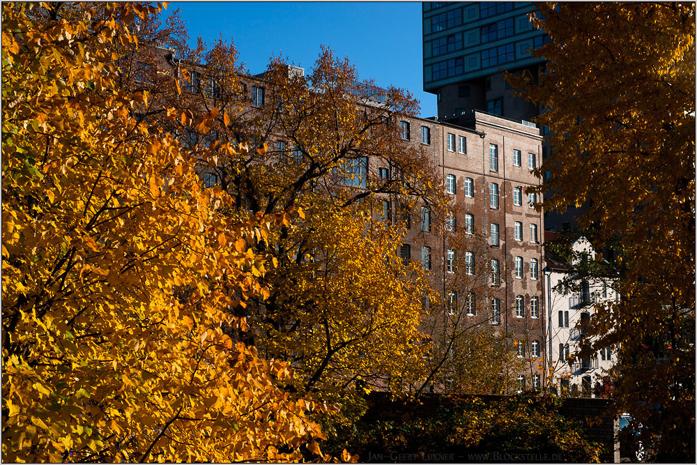 Herbst am Binnenhafen