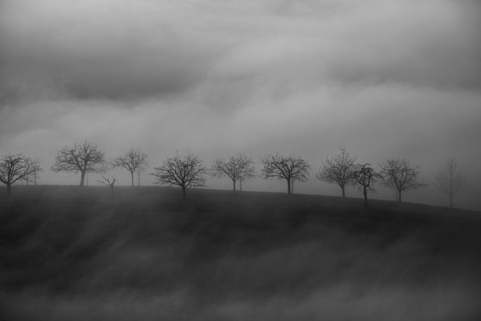 Herbst am Binnenmeer