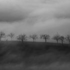 Herbst am Binnenmeer