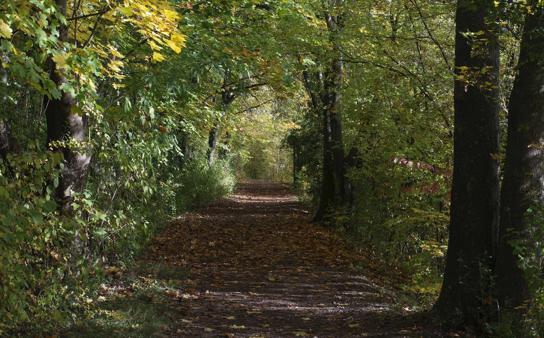 ...Herbst am Biotop