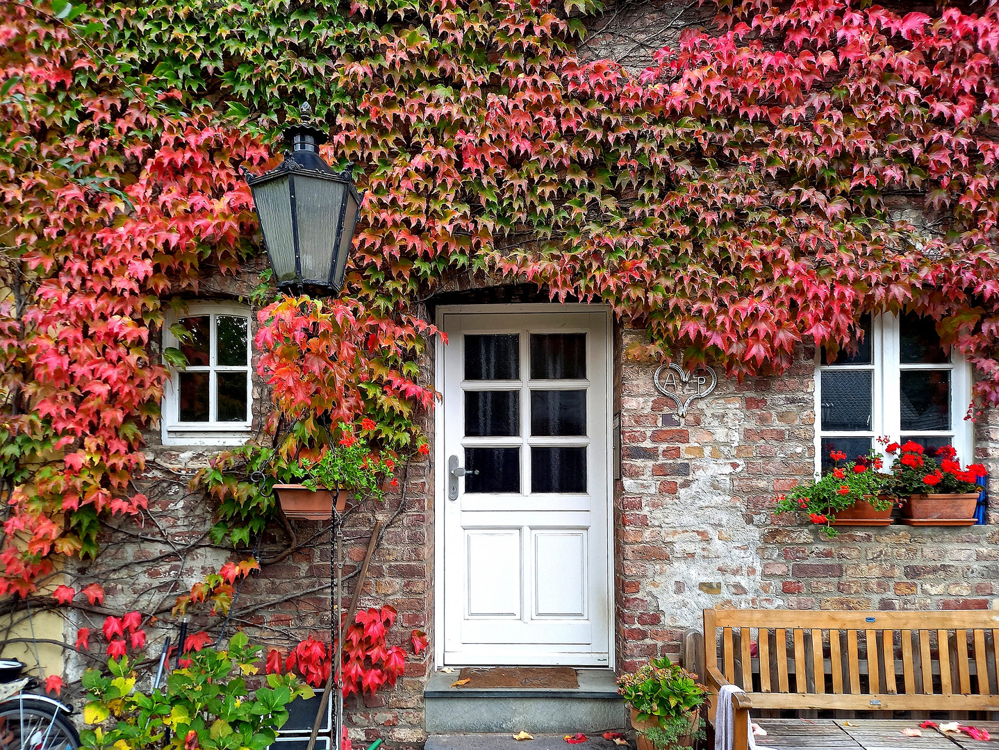 Herbst am Birkhof