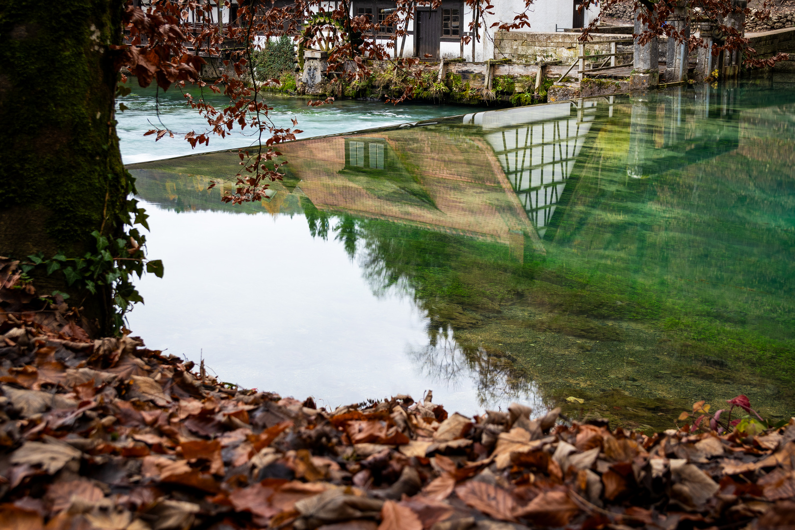 Herbst am Blautopf