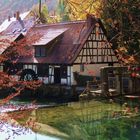 Herbst am Blautopf