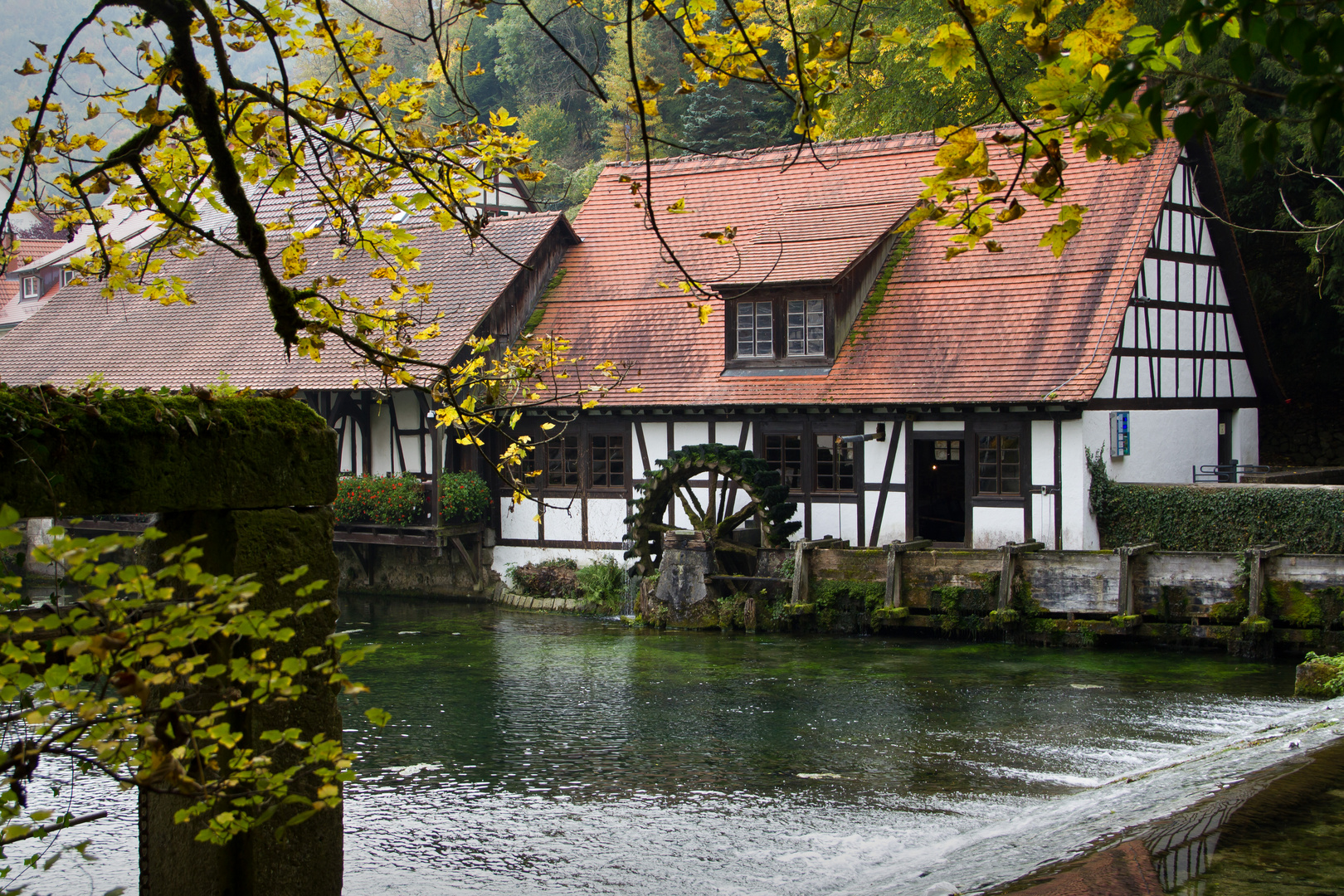 Herbst am Blautopf