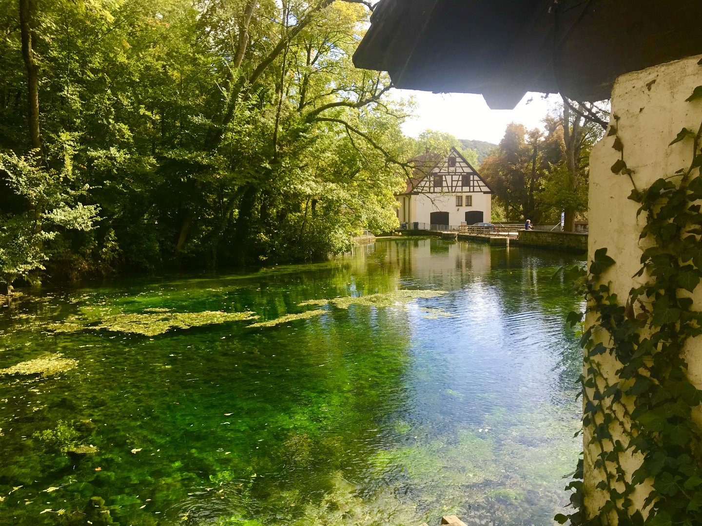 Herbst am Blautopf