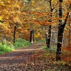 Herbst am Blechhammerweiher (allerdings im Jahr 2011)