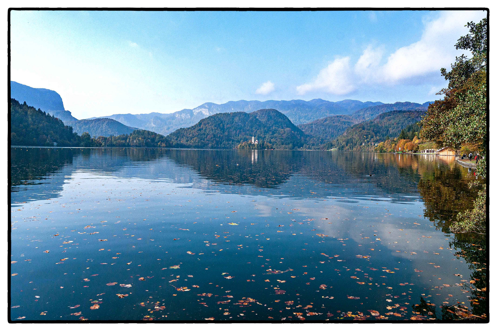 Herbst am Bleder See ( 3 )