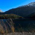 Herbst am Blindsee