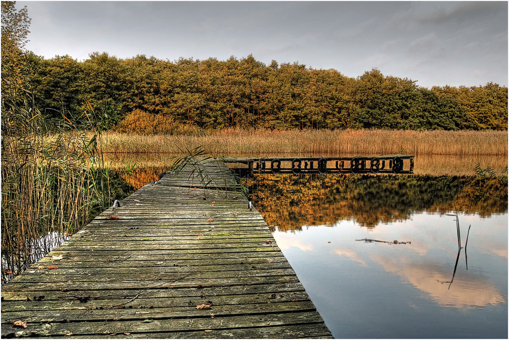 Herbst am Bodden