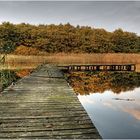 Herbst am Bodden