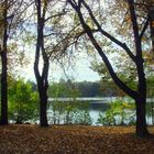 Herbst am Boddensee in Birkenwerder