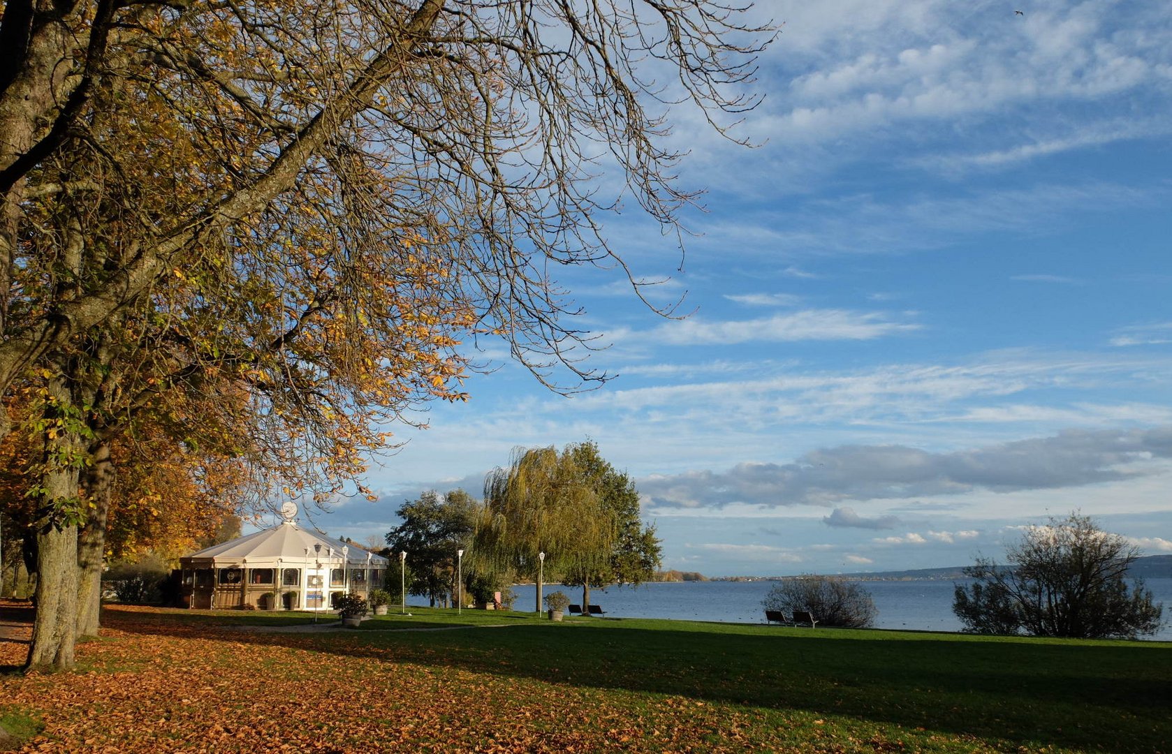 Herbst am Bodensee