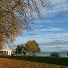 Herbst am Bodensee