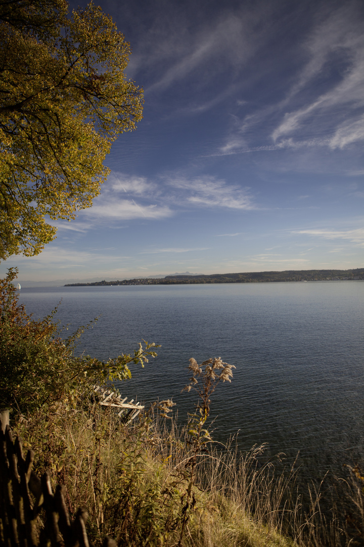 Herbst am Bodensee