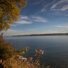 Herbst am Bodensee