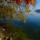 Herbst am Bodensee