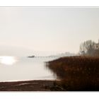 Herbst am Bodensee (2)
