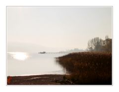 Herbst am Bodensee (2)
