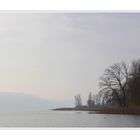 Herbst am Bodensee ....