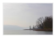 Herbst am Bodensee ....