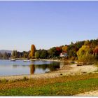 Herbst am Bodensee