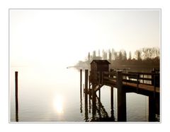 Herbst am Bodensee (3)