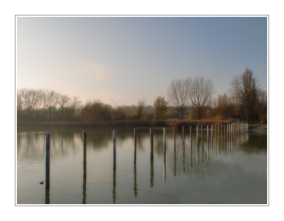 Herbst am Bodensee (5)