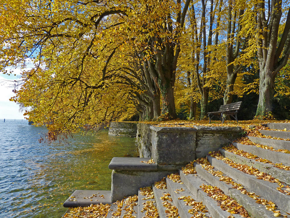 Herbst am Bodensee