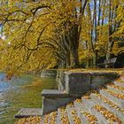 Herbst am Bodensee