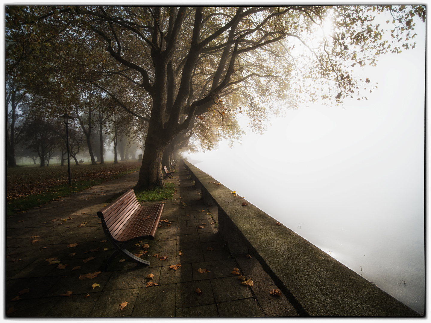 Herbst am Bodensee