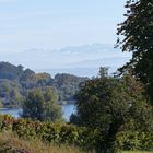 Herbst am Bodensee